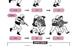 戰(zhàn)術(shù)小隊(duì)全球區(qū)和國區(qū)有什么區(qū)別：全面解析兩者的差異與特點(diǎn)