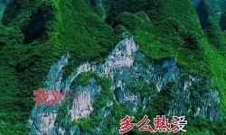 四四五五永久免費(fèi)色播：探索高清無(wú)限觀(guān)看新時(shí)代