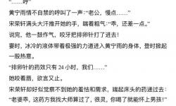精彩推薦：圓缺(1v1)全文閱讀全解析