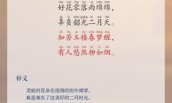 奄去也五月婷婷丁香香：一段難忘的春日回憶