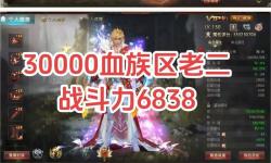 魔域血族攻擊上20w：震撼全服的血族崛起之戰(zhàn)
