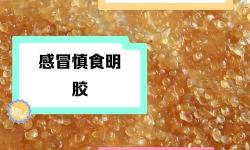人狗膠配方大全免費(fèi)天氣預(yù)報(bào)：如何避免遺忘的實(shí)用指南