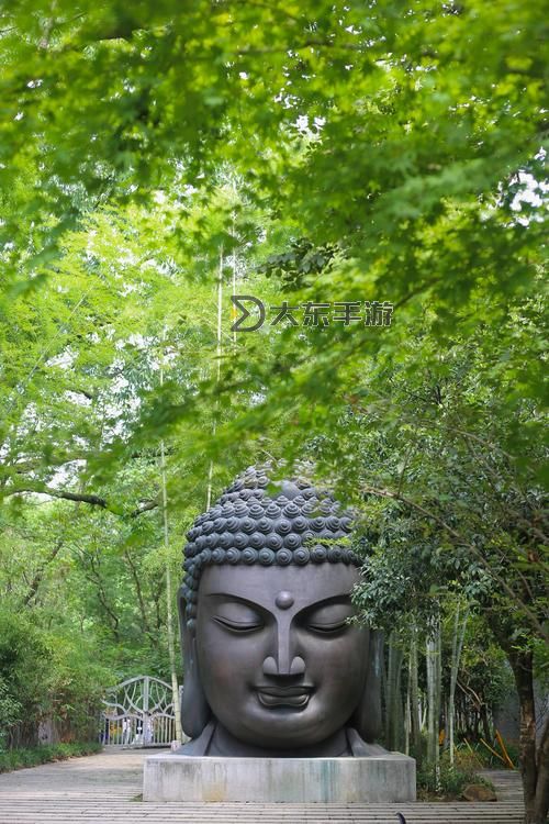 探秘天天綜合天天久久:每日精彩內(nèi)容不斷更新圖1