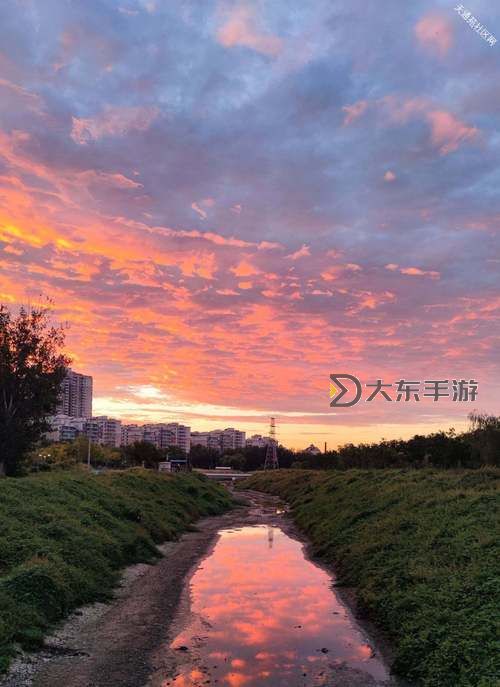 秋霞手機(jī):引領(lǐng)秋日時(shí)尚的新潮選擇圖1