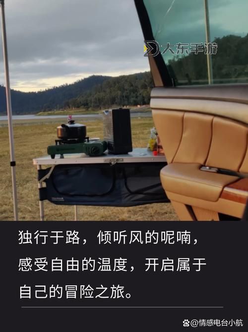 在孤獨(dú)中前行:坐在長途汽車的最后一排的思索圖1