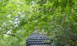 探秘天天綜合天天久久：每日精彩內(nèi)容不斷更新