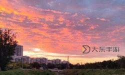 秋霞手機(jī)：引領(lǐng)秋日時(shí)尚的新潮選擇