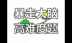 智商大挑戰(zhàn)：揭秘腦力極限的終極較量