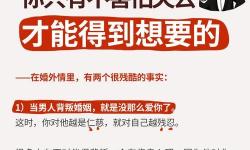 我愛(ài)丈夫公我卻更愛(ài)丈夫：真情的深沉與自我超越