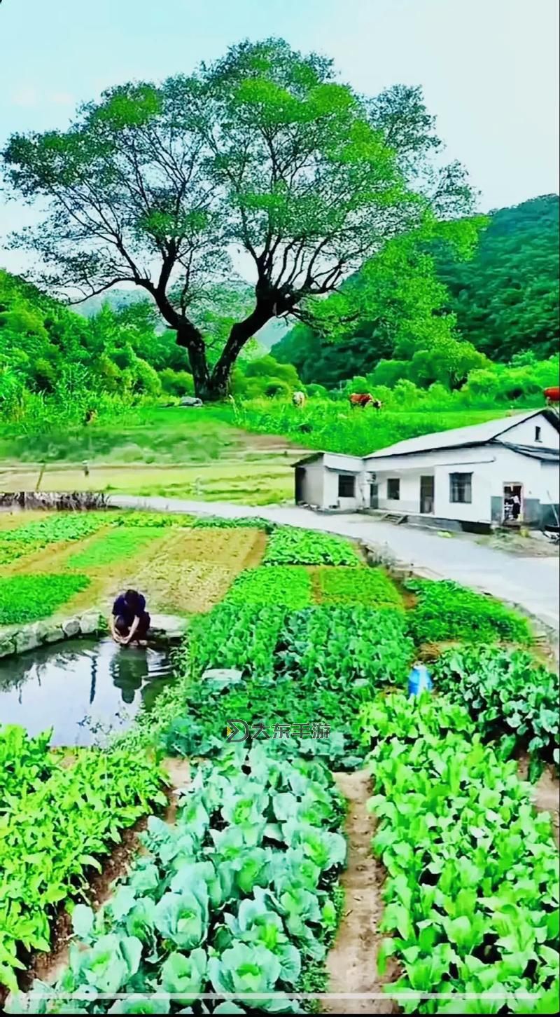 探索中國農(nóng)村野外的自然風(fēng)光與鄉(xiāng)村生活圖1