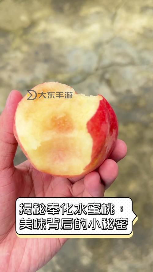 探索甜美秘密：水蜜桃的私密空間揭秘圖1
