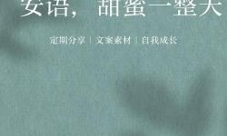 綜瓊瑤之組團(tuán)刷刷刷：甜蜜劇情與暖心瞬間全紀(jì)錄