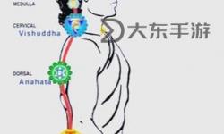 打坐多少年才能入定：修行之路的時(shí)間探索