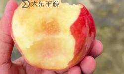 探索甜美秘密：水蜜桃的私密空間揭秘