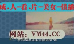 在線澀澀免費觀看國產(chǎn)精品：暢享最新精彩內(nèi)容的最佳平臺