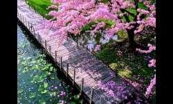最新資源網(wǎng)盤推薦：最近韓國(guó)動(dòng)漫HD免費(fèi)觀看全系列精彩呈現(xiàn)