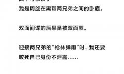 車輪滾滾：一篇整篇都是車的文章片段的文學(xué)探究