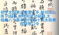 揭密武俠劇中十大神功：江湖絕世絕技全解析
