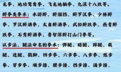 武術(shù)分多少種：全面解析不同類別與流派的分類方法