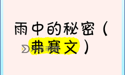 雨地隱藏獎(jiǎng)勵(lì)：探秘雨中寶藏的秘密