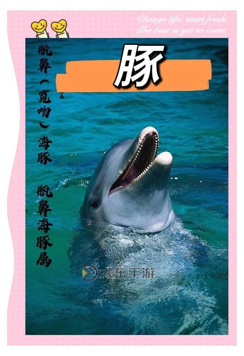 探秘魔獸海琢玄武巖：自然奇觀與神秘傳說圖1