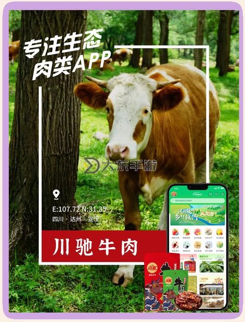 震撼推薦:不卡一區(qū)二區(qū)牛牛視頻盡享順暢體驗(yàn)圖2