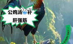用嘴巴吃雞有什么好處和壞處呢？詳細(xì)分析與建議