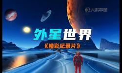 穿越星河：宇宙的后裔的傳奇之旅
