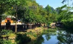 幽谷花徑內(nèi)的阻力突然減小：揭示隱藏的自然奧秘