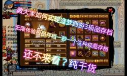 4399造夢(mèng)西游3人物80級(jí)全攻略：提升技巧與技能搭配詳解