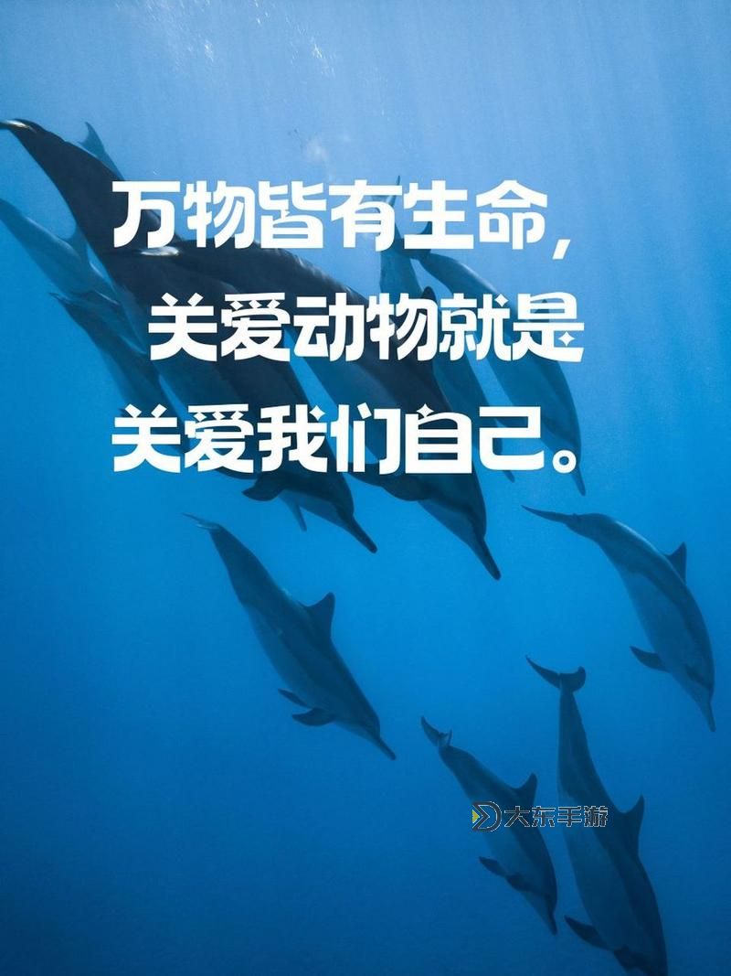 守護(hù)生命的暖陽:全民行動拯救小動物圖1