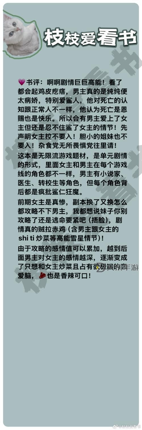 《欲望格斗2補丁全解指南:提升游戲體驗的必備秘籍》圖1