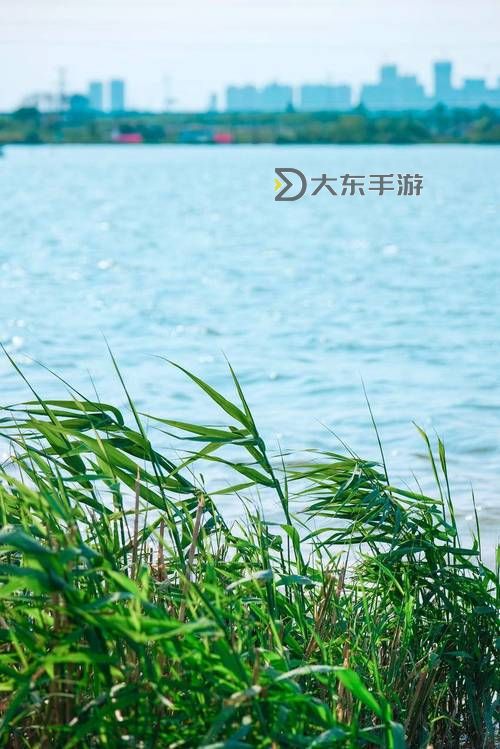 自扳偷拍歐美HDHDHDs：揭秘高清亞洲成人內(nèi)容的最新趨勢(shì)圖1