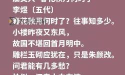 狼國五月婷婷六月丁香：春日中的神秘花海夢境