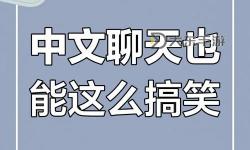 揭秘中文字幕亂碼與中文亂碼問(wèn)題：在B站上的解決方案