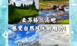 探索極致體驗(yàn)：99熱這里是精品的獨(dú)特魅力