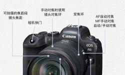 新手必看：完整的自己玩r頭教程指南