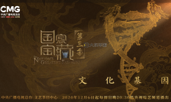 熱中文熱國產(chǎn)熱熱色：點(diǎn)燃文化熱潮的彩色盛宴