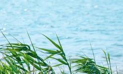 自扳偷拍歐美HDHDHDs：揭秘高清亞洲成人內(nèi)容的最新趨勢