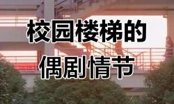 在樓梯里要你：一段意想不到的邂逅
