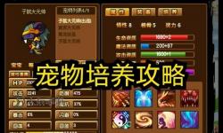 造夢西游3抓極品寵物技巧全攻略
