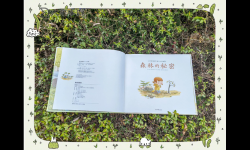 探索神秘的森林：又大又黑又長的蘑菇頭背后的秘密