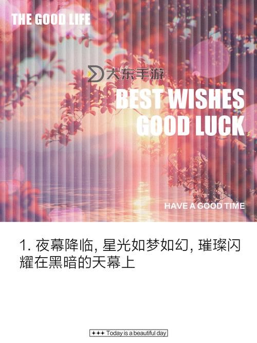 yey5.vlp夜月直播：夜晚的璀璨星光語錄分享圖1