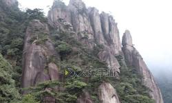 造夢西游5boss大全圖鑒：全面攻略與實用指南