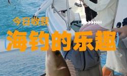 探索珠海釣魚網(wǎng)：暢享海釣樂趣的最佳平臺