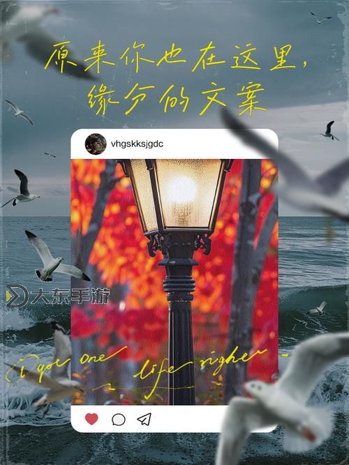 原來你也在這里日語：那些關(guān)于相遇的溫暖瞬間圖1