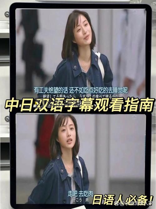 中字幕視頻在線永久在線觀看免費：免費在線觀看高清影視內(nèi)容指南圖1