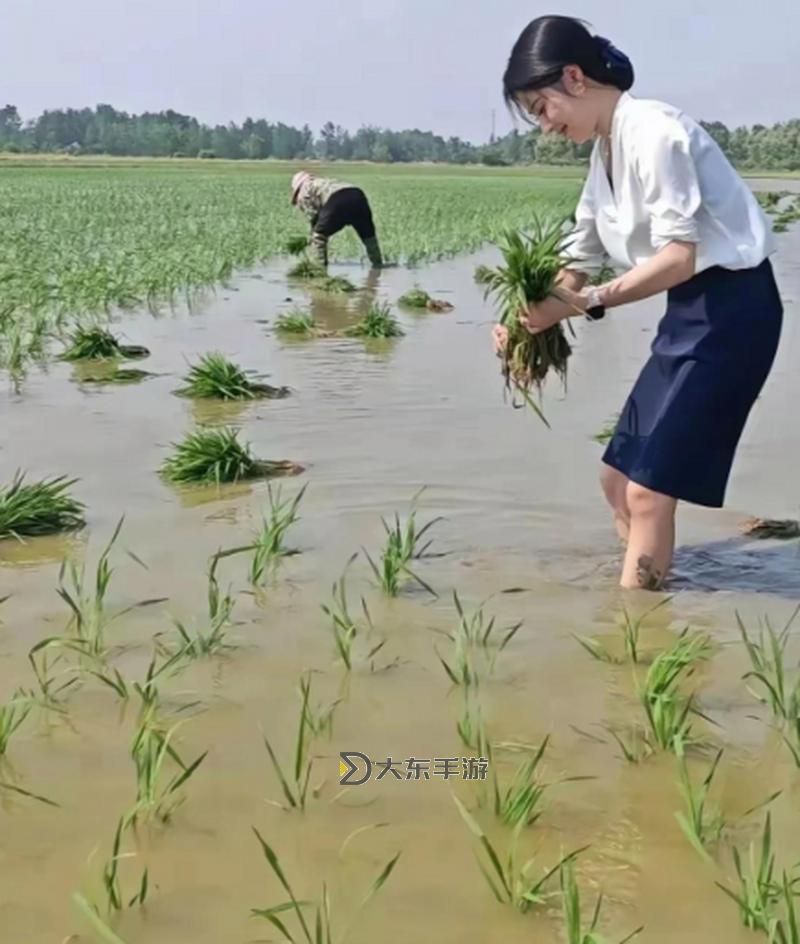 倩女幽魂春耕插秧攻略:詳解春季插秧技巧與最佳實(shí)踐圖1