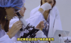 ADN169在丈夫面前被耍了：真相令人震驚的騙局揭秘