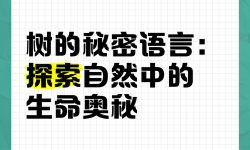 揭秘sese背后的秘密：探索其獨(dú)特的魅力與文化內(nèi)涵